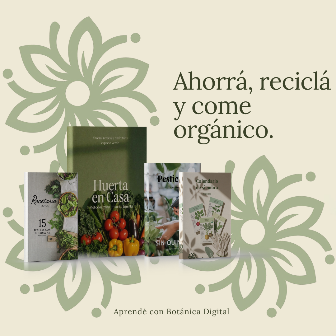 Huerta en casa + 3 Bonos: Ahorrá, reciclá y come orgánico